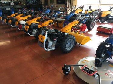 MOTOCOLTIVATORI PASQUALI-BCS (3)